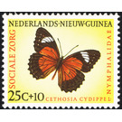 Eastern Red Lacewing (Cethosia cydippe) - Melanesia / Netherlands New Guinea 1960