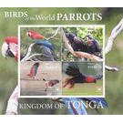 Eclectus Parrot (Eclectus roratus) - Polynesia / Tonga 2020