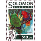 Eclectus roratus - Melanesia / Solomon Islands 2017 - 10