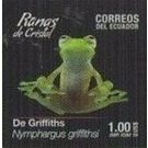 Ecuador Cochran Frog (Nymphargus griffithsi) - South America / Ecuador 2019 - 1