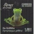Ecuador Cochran Frog (Nymphargus griffithsi) - South America / Ecuador 2019 - 1