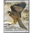 Eleonora's Falcon (Falco eleonorae) - Greece 2019 - 3.40
