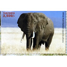Elephant - East Africa / Tanzania 2018