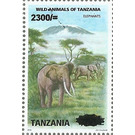 Elephants - East Africa / Tanzania 2020