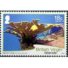 Elkhorn Coral - Caribbean / British Virgin Islands 2017 - 18