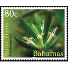 Emodea gigantea - Caribbean / Bahamas 2019 - 80