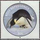 Emperor Penguin (Aptenodytes forsteri) - Ross Dependency 2014 - 80
