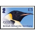 Emperor Penguin - British Antarctic Territory 2018 - 5