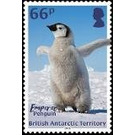 Emperor Penguin - British Antarctic Territory 2018 - 66