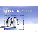 Emperor penguin - Micronesia / Marshall Islands 2020