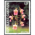 Eulophia - Central Africa / Gabon 2004 - 125