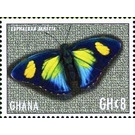 Euphaedra janetta - West Africa / Ghana 2017 - 8