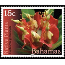 Euphorbia gymnonota - Caribbean / Bahamas 2019 - 15