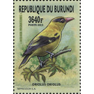 Eurasian Golden Oriole (Oriolus oriolus) - East Africa / Burundi 2016