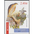 Eurasian Sparrowhawk (Accipiter nisus) - Georgia 2019 - 2.40