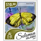 Eurema hecabe - Melanesia / Solomon Islands 2017 - 40