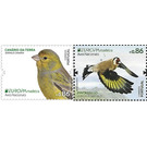 Europa (C.E.P.T.) 2019 - National Birds - Portugal / Madeira 2019 Set