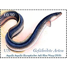 European Eel (Anguilla anguilla) - UNO Vienna 2019 - 0.90