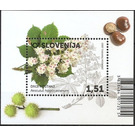 European Horse Chestnut (Aesculus hippocastanum) - Slovenia 2020 - 1.51