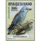 European Roller (Coracias garrulus) - East Africa / Burundi 2016