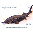 European Sturgeon (Huso huso) - UNO Vienna 2019 - 0.90