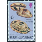 Eyed Cowry (Cypraea argus) - Micronesia / Gilbert and Ellice Islands 1975 - 4