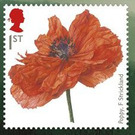 F Strickland "Poppy" - United Kingdom 2018