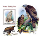 Falco rustcolus - Central Africa / Sao Tome and Principe 2021