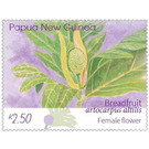 Female Breadfruit Flower - Melanesia / Papua and New Guinea / Papua New Guinea 2020 - 2.50