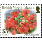 Flamboyant - Caribbean / British Virgin Islands 2019 - 5