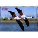 Flamingos - East Africa / Tanzania 2018