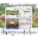Flamingos - Polynesia / Penrhyn 2020