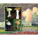 Flora - Mushrooms - South Africa / Lesotho 2007
