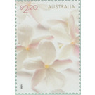 Flower Blossoms - Australia 2021 - 2.20