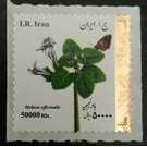 Flowers of Iran - Iran 2018