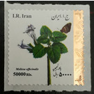 Flowers of Iran - Iran 2018