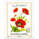 Flowers of Morocco - Morocco 2020 - 3.75