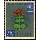 Flowers of the Cinchona succiruba - Poland 1962 - 2.50