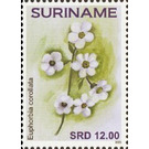 Flowers - South America / Suriname 2021