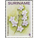 Flowers - South America / Suriname 2021