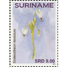 Flowers - South America / Suriname 2021