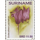 Flowers - South America / Suriname 2021