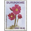 Flowers - South America / Suriname 2021