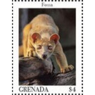 Fossa - Caribbean / Grenada 2020 - 4