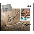 Fossils - East Africa / Mozambique 2020