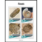 Fossils - East Africa / Mozambique 2020