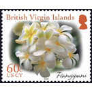 Frangipani - Caribbean / British Virgin Islands 2019 - 60