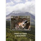 Frog Species of Montserrat - Caribbean / Montserrat 2018