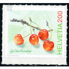 fruit  - Switzerland 2006 - 200 Rappen