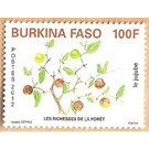 Fruits of the Forest - West Africa / Burkina Faso 2012 - 100